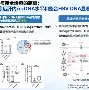 利拉德来袭!换人、点球细节曝光(利拉德本赛季彻底报销了吗最新消息)